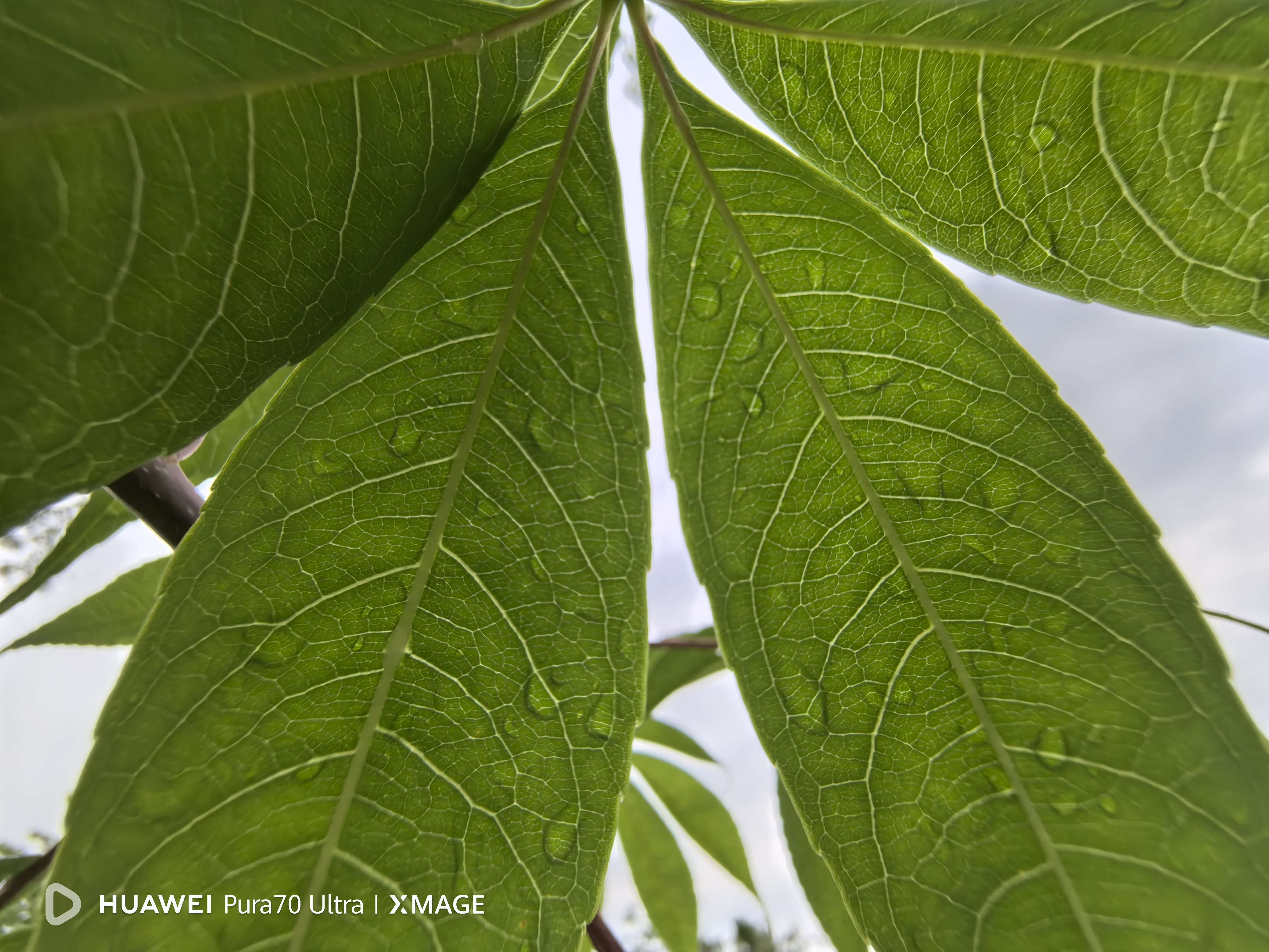 运动相机什么是运动相LEJING乐竞·体育机？机的最新报道(图11)