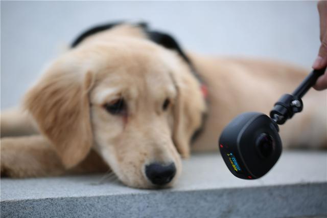 运动相机什么是运动相LEJING乐竞·体育机？机的最新报道(图9)