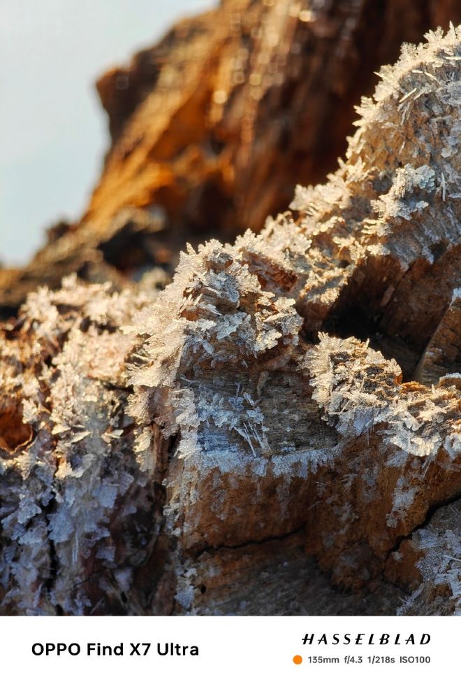 手机影像2024升级！FindLEJING乐竞·体育 X7 Ultra双潜望哈苏影调抬高影像上限(图6)