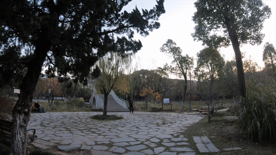 LEJING乐竞·体育完美记录运动影像——浩瀚三轴运动相机稳定器(图7)