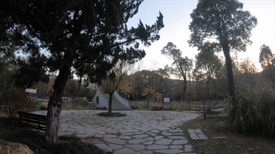 LEJING乐竞·体育完美记录运动影像——浩瀚三轴运动相机稳定器(图8)